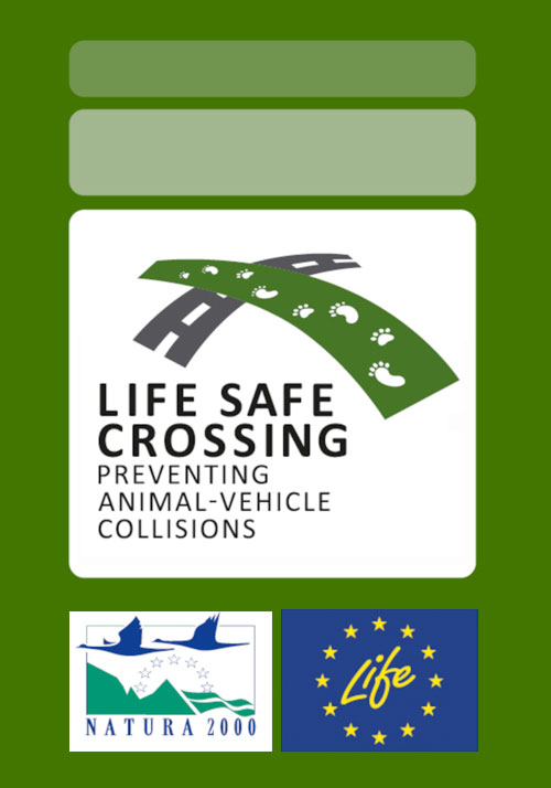 Life Safe – Crossing