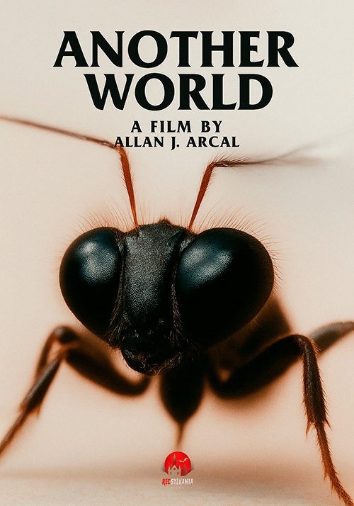 Another World